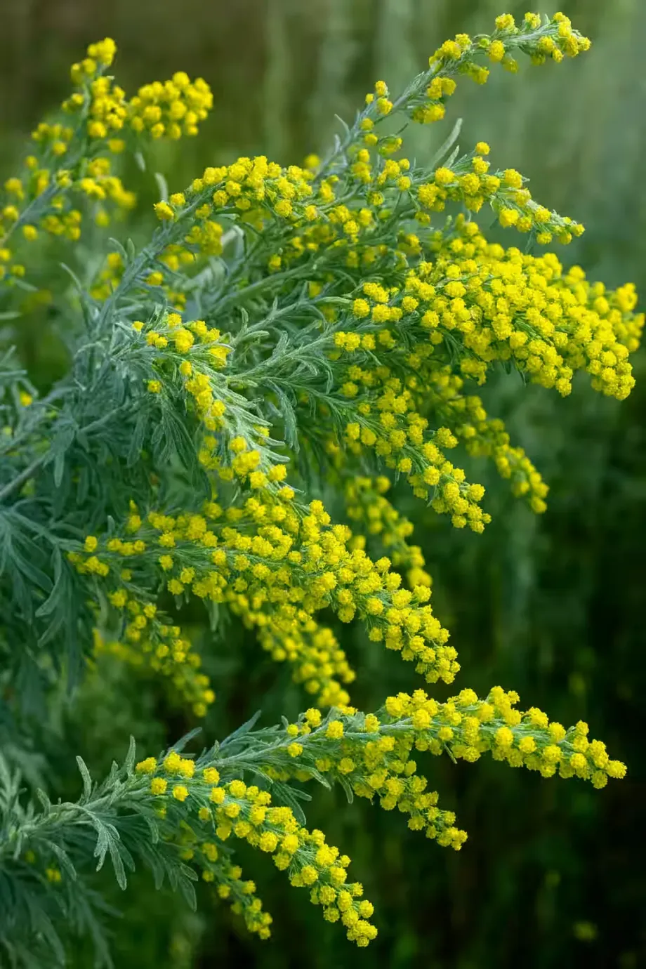 chatgpt-image-nov-25-2025-06-48-20-pm